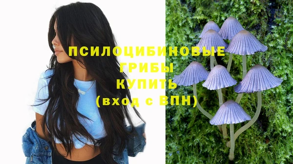 амф Нея