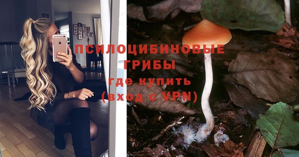 МДПВ Бежецк