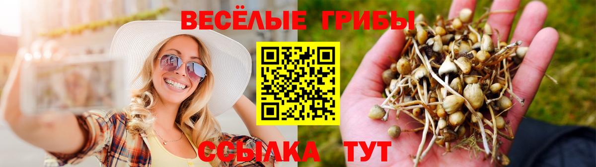 Торжок  даркнет сайт  Вход с VPN  Псилоцибиновые грибы Cubensis  Галлюциногенные грибы MAGIC MUSHROOMS 